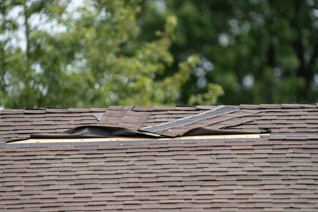 trusted Westfield, MA roof repair and replacement experts