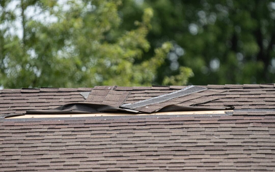 5 Steps to Take after a Storm Damages Your Roof in Chicopee