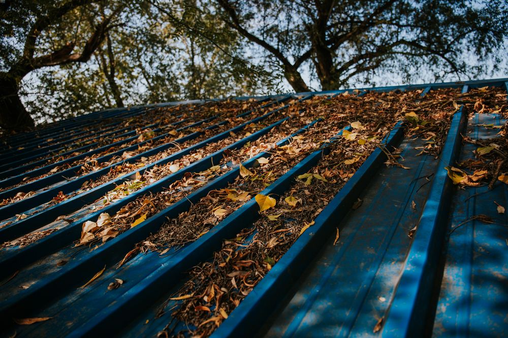 fall roof problems,