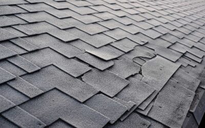 Reasons Your Roof Might Fail in Longmeadow