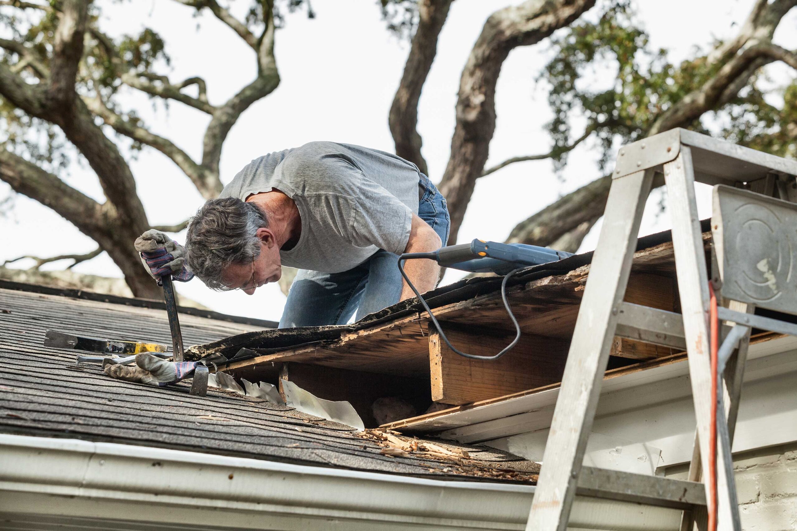 How to Handle Summer Roof Issues in Westfield