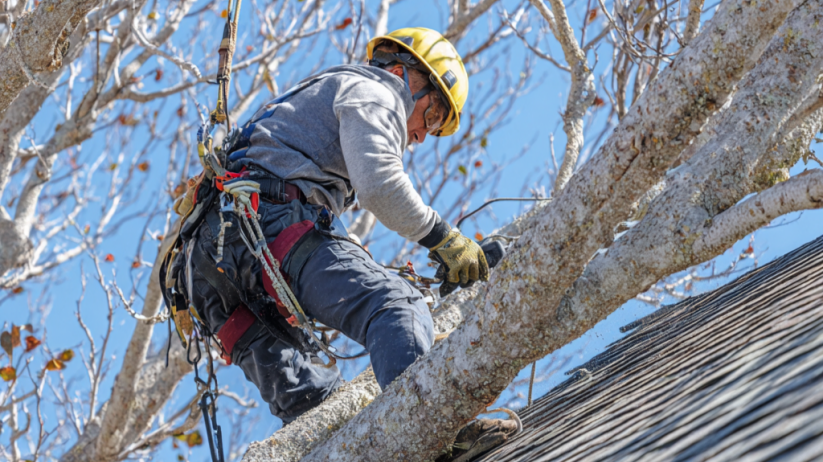 choosing the Right Roofing Contractor in Western Massachusetts